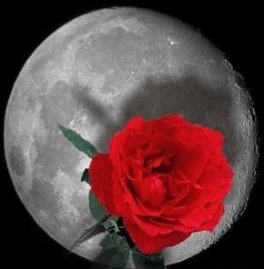 Debora153649's tweet photo. https://t.co/vP3vcaxVGT