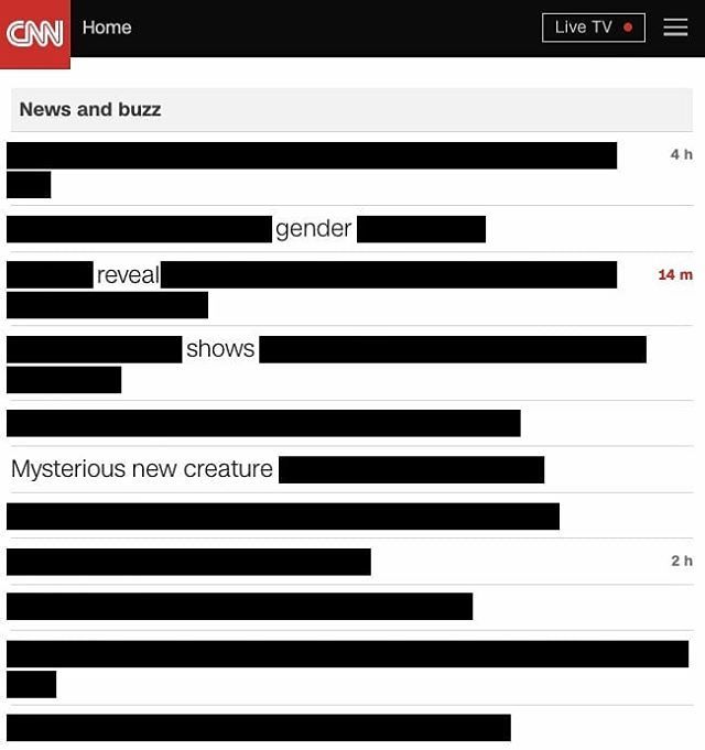 CNNpoetry's tweet photo. gender reveal shows Mysterious new creature https://t.co/qajMDg35JY https://t.co/8umRHEjyqr