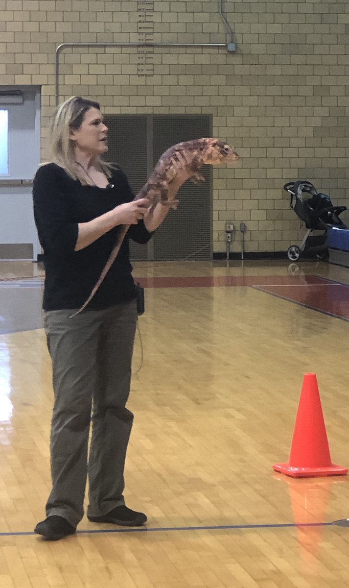 jking5124's tweet photo. Had a great time volunteering at @McKeesportArea today for the wildlife presentation. The students and parents really enjoyed the day!  #vtostory @edmentum https://t.co/7F44UHYI6t