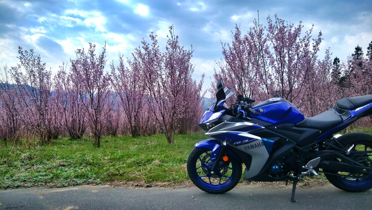 mankyu320's tweet image. 贅沢な通勤！