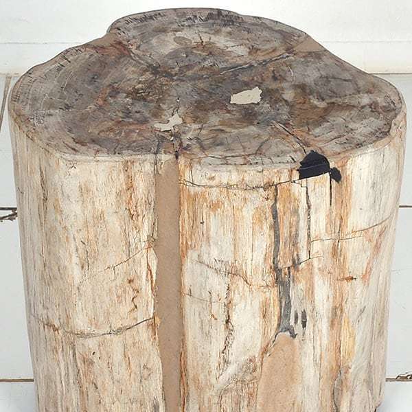 MyOwnBali's tweet image. #natural #fossilwood #interiordesign #organicfurniture #stool bit.ly/2va2WA6