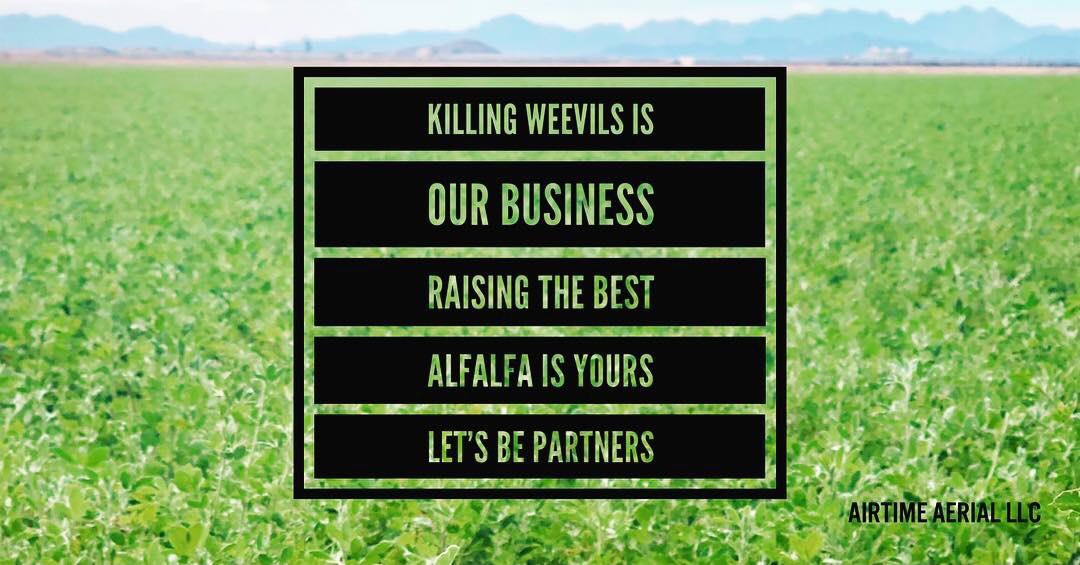 airsprayers's tweet image. MURDER WAS THE CASE THEY GAVE ME!   #weevilsmustdie