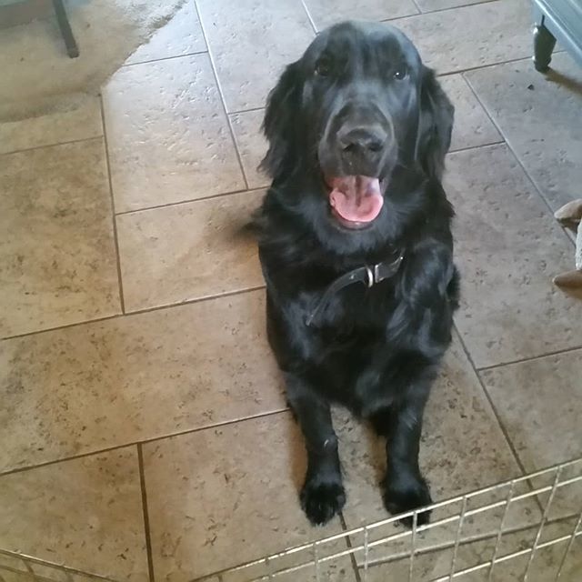 Harbor Boulevard tweet media