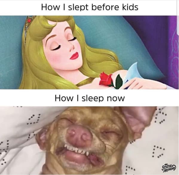 CourseCappin's tweet photo. I miss those days
-
-
-
#CourseCap #capture #homework #vancouver #study #funny #memes #tutor #college #likeforlikes #instagood #class #sleep #kid #now https://t.co/5JadslUbOf