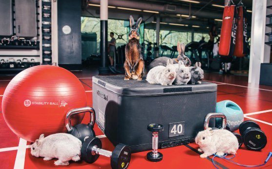 TSW_Athletic's tweet photo. We hope all our members have a healthy and enjoyable weekend with your family and friends https://t.co/gX11D6sTWF https://t.co/zLXEle3fPA