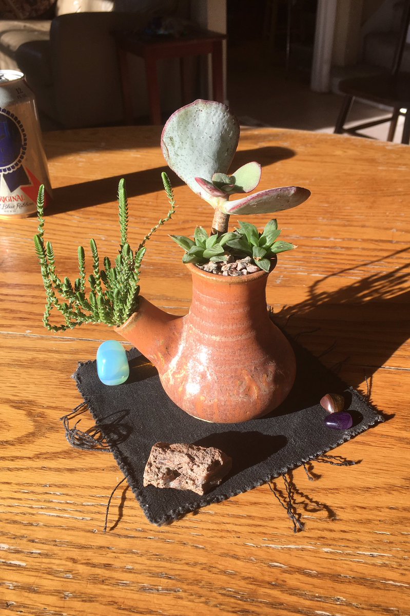 “The great globe reels in the solar fire,”
From, “Calmly We Walk Through this April’s Day,” by Delmore Schwartz

Crassula arborescens, Crassula lycopodioides, Haworthia cymbiformis, and a ceramic piece that looks a little like a bong.