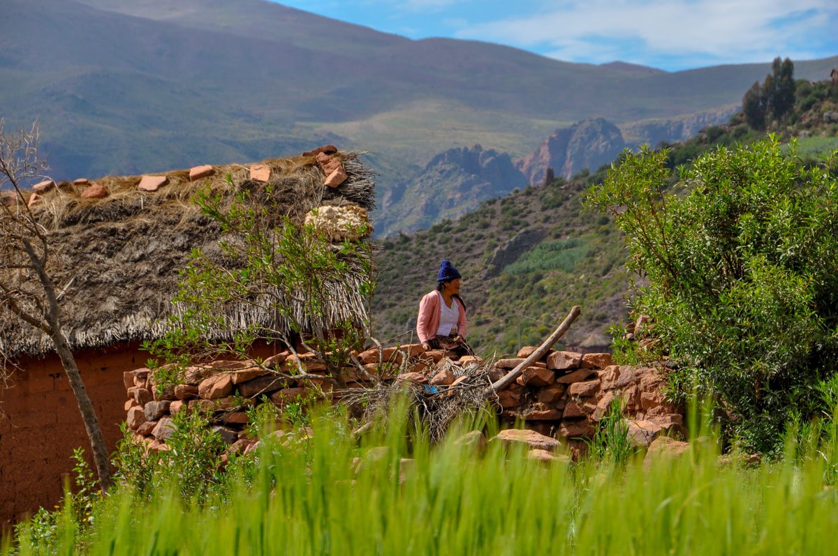 seedchange_'s tweet photo. This #EarthDay take a moment to learn about the peasant, Indigenous and family farmers whose access to land is threatened. Land grabs have been on the rise since 2008, and they're putting farmers' lives and livelihoods at risk. https://t.co/M2EpUS350z #PeasantsRightsNow https://t.co/uWoi0BMnLE