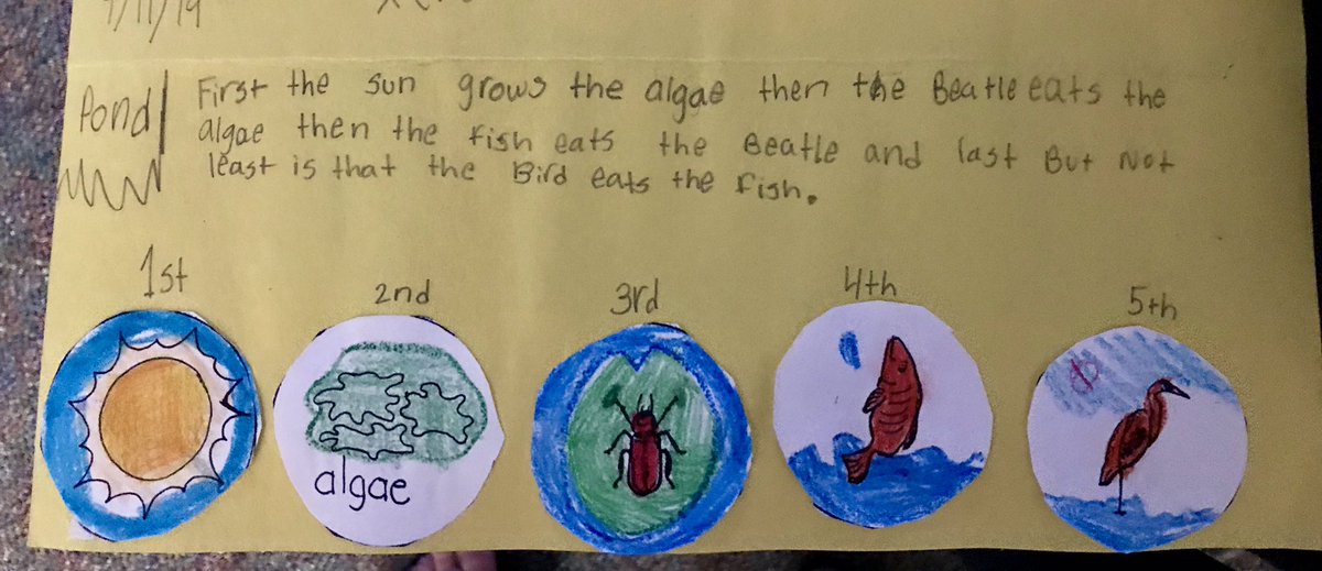 MrsJenJoyner's tweet photo. Food chains, interdependence #campsupersecond @BernshausenKISD https://t.co/5Mq6vNG8er