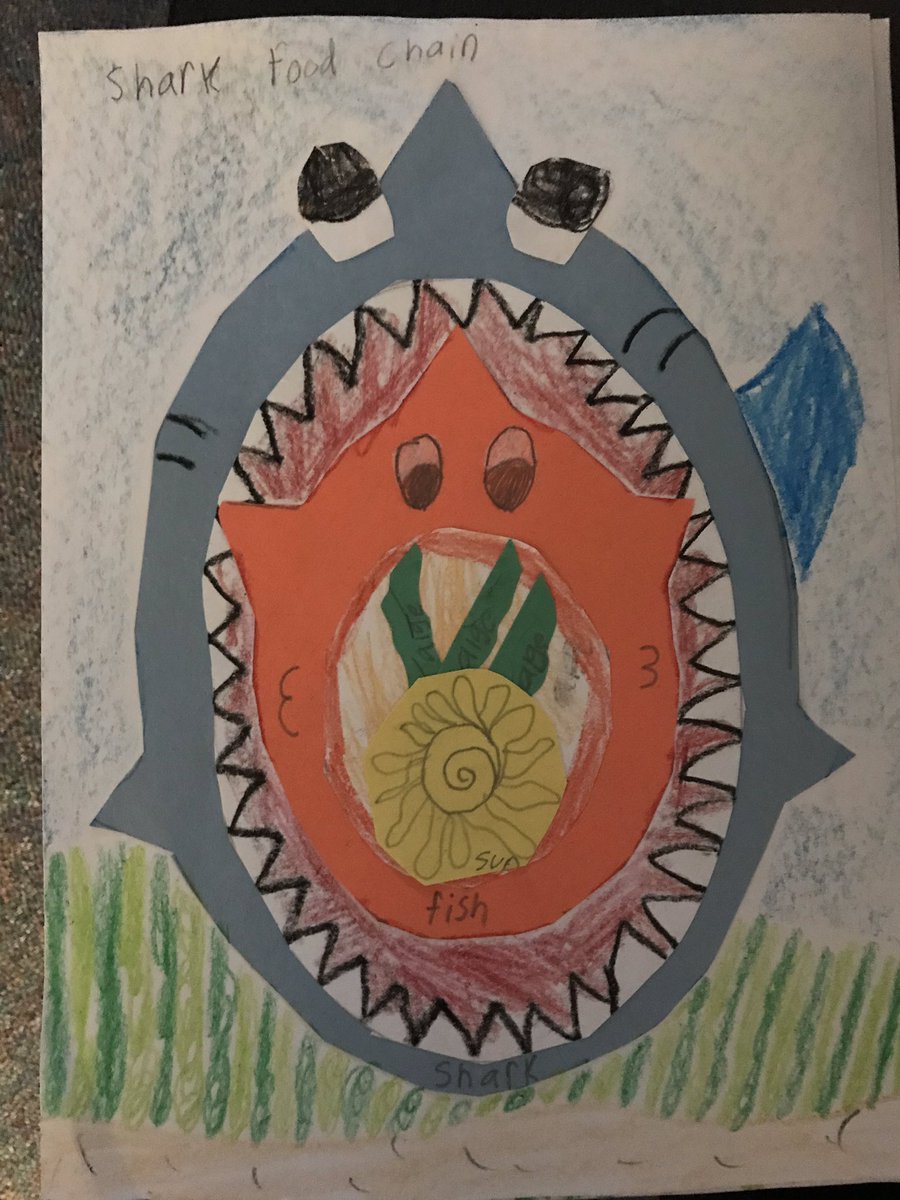MrsJenJoyner's tweet photo. Food chains, interdependence #campsupersecond @BernshausenKISD https://t.co/5Mq6vNG8er