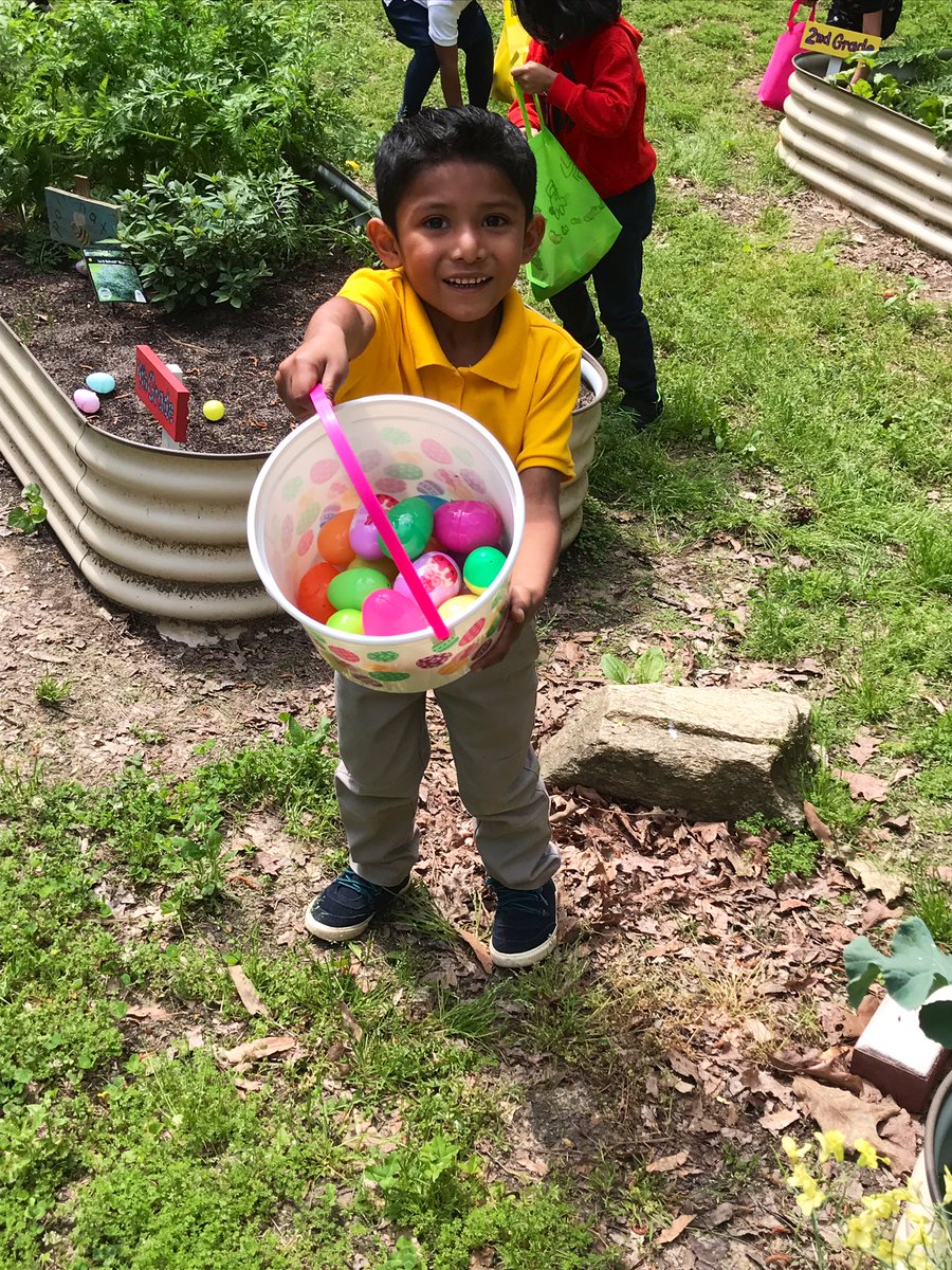 BilalsPreKClass's tweet photo. We bumped it up a day due to weather, and Iβm so glad we did!!! π₯³ Their smiles and the excitement in those 5 minutes it took them to collect over 1,200 eggs was worth it!! π€ͺπ₯° #springegghunt #readysetgo #prekrocks @APSGardenHills @BEprek @aps_OEL https://t.co/jTcEQr6la2