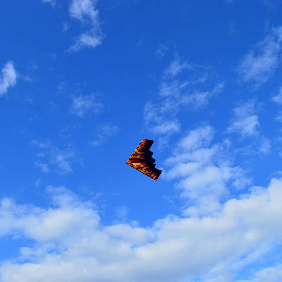 kitedrone's tweet photo. Simply solo and majestic against the background of a cloud highlighted beautiful blue sky. No filter needed to see the KITEDRONE™ "Diesel" in action!
Available at Costco Mexico!!!
#mexico #kites #mexicofun #fun #familyfun #flykites #kids #papalotes #regalos #cdmx https://t.co/GoBdGf2aVG