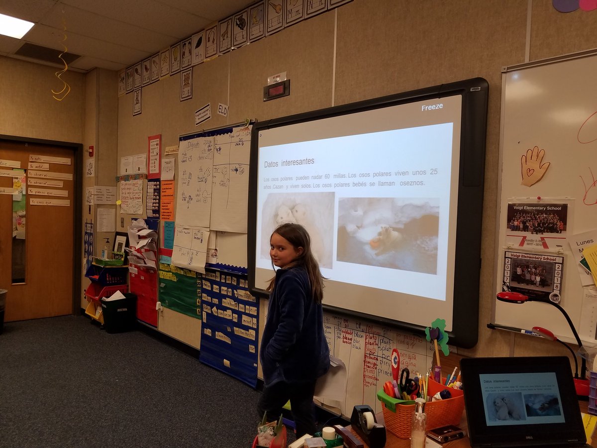 LaredoMagui's tweet photo. Primer grado lenguage dual aprendiendo unos de otros y ofreciendo retroalimentación en sus trabajos de investigación @vikingsgotheart @rrisd_dl @googleslides @RRISDTech https://t.co/o0H3AZNGIs