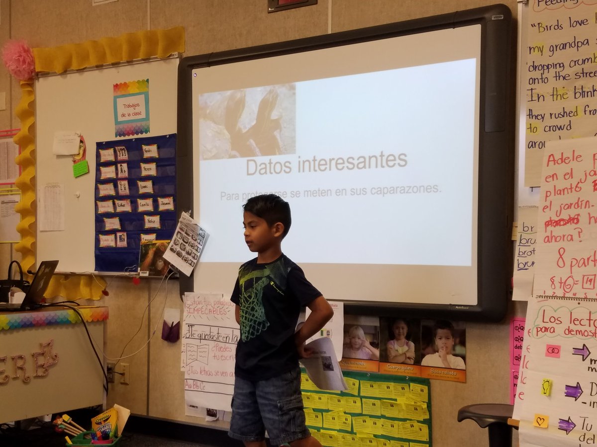 LaredoMagui's tweet photo. Primer grado lenguage dual aprendiendo unos de otros y ofreciendo retroalimentación en sus trabajos de investigación @vikingsgotheart @rrisd_dl @googleslides @RRISDTech https://t.co/o0H3AZNGIs