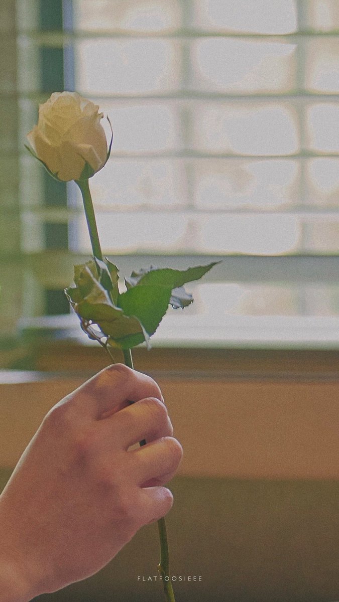 RealPcy40070035 tweet picture