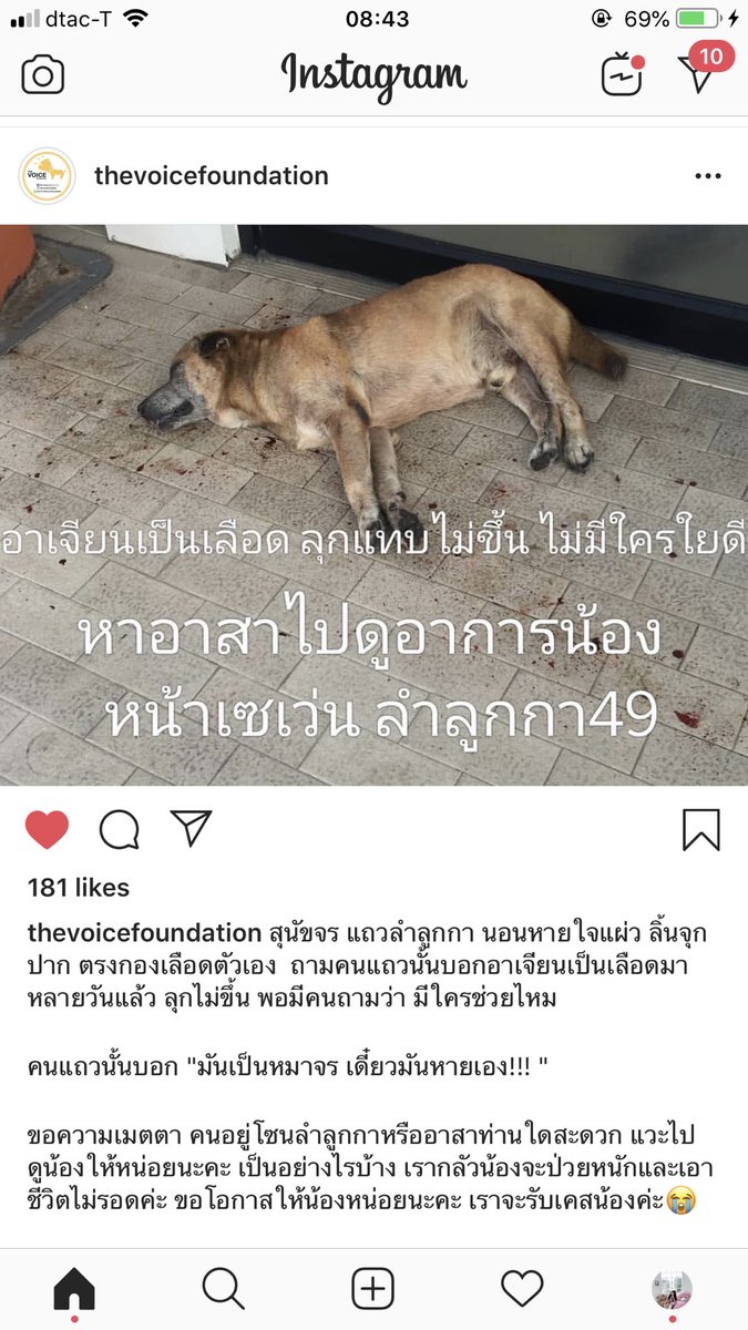 แพมไอ๋🫧 tweet media