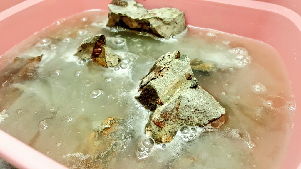 AMMPaleo's tweet photo. Acid preparation doesn't have to be scary! The #AMMP2019 acid preparation work shop was *bubbling* with excitement! https://t.co/3bJXUYw9T8