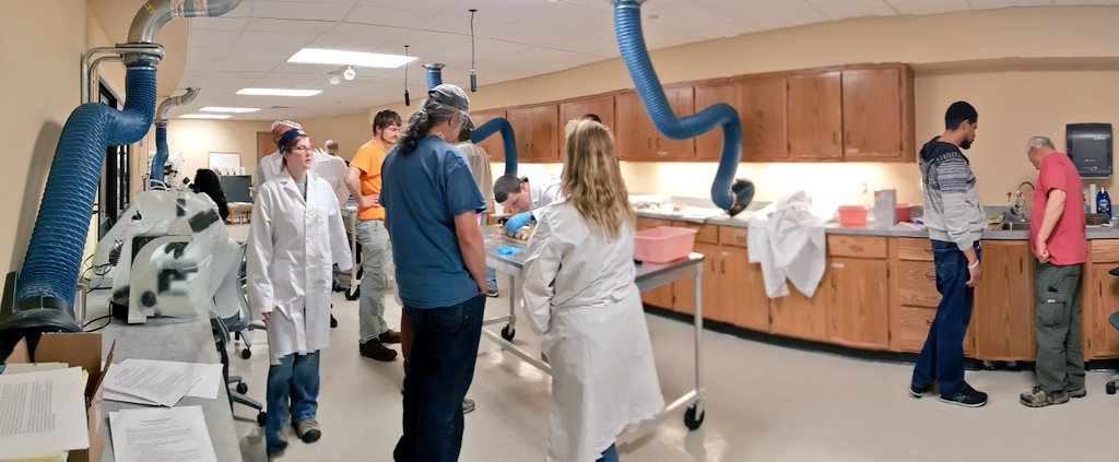 AMMPaleo's tweet photo. Acid preparation doesn't have to be scary! The #AMMP2019 acid preparation work shop was *bubbling* with excitement! https://t.co/3bJXUYw9T8