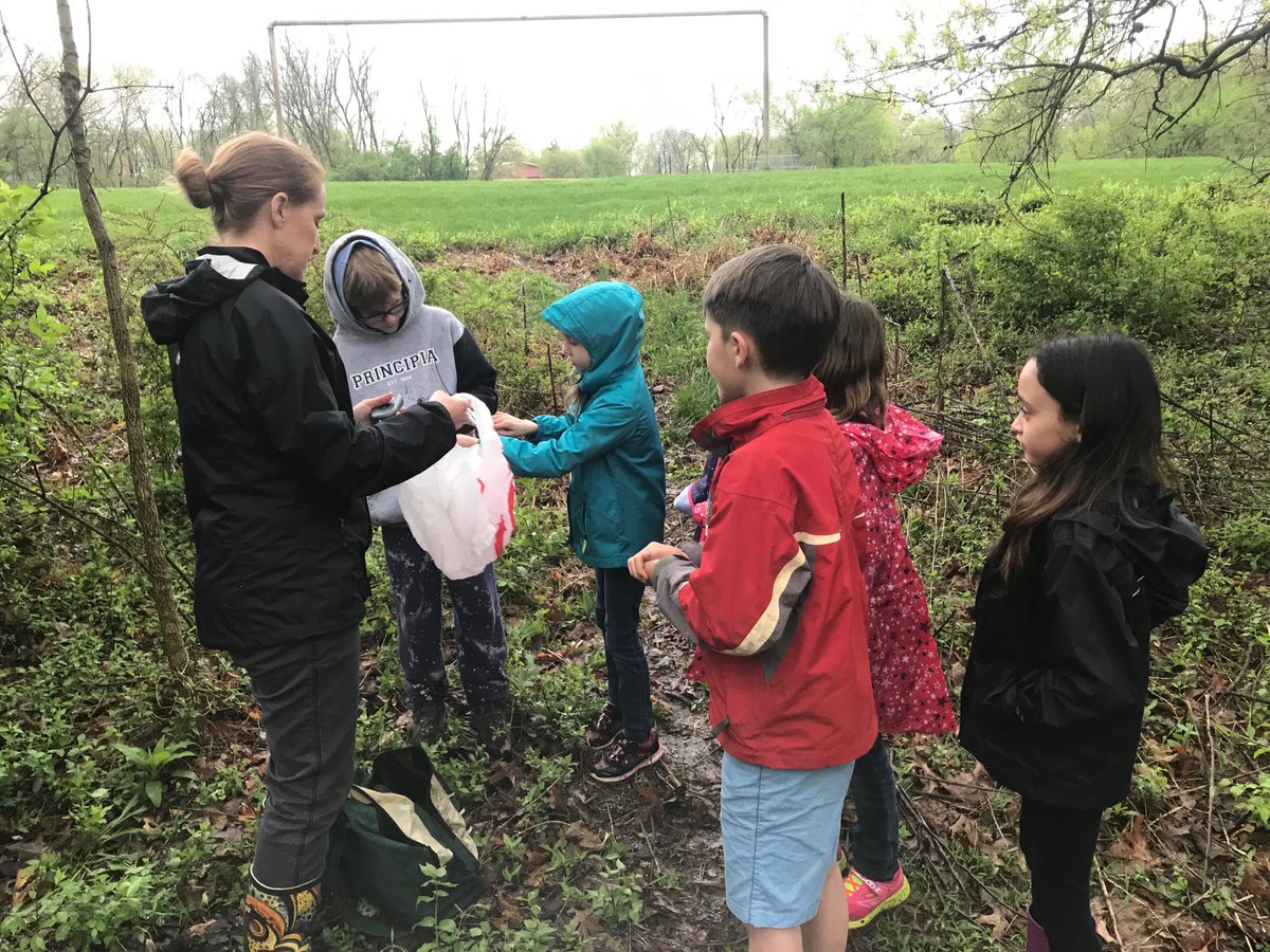 PrinOutdoorEd's tweet photo. Turtle tracking team ⁦@PrincipiaSchool⁩ finding one of our three tagged turtles, Ruby.  She was found in the thickest, thorniest corner of our beautiful campus, but the team tracked her down anyway.  #handsonlearning #outdoorlearning #turtletracking https://t.co/DoVMpZgy6L