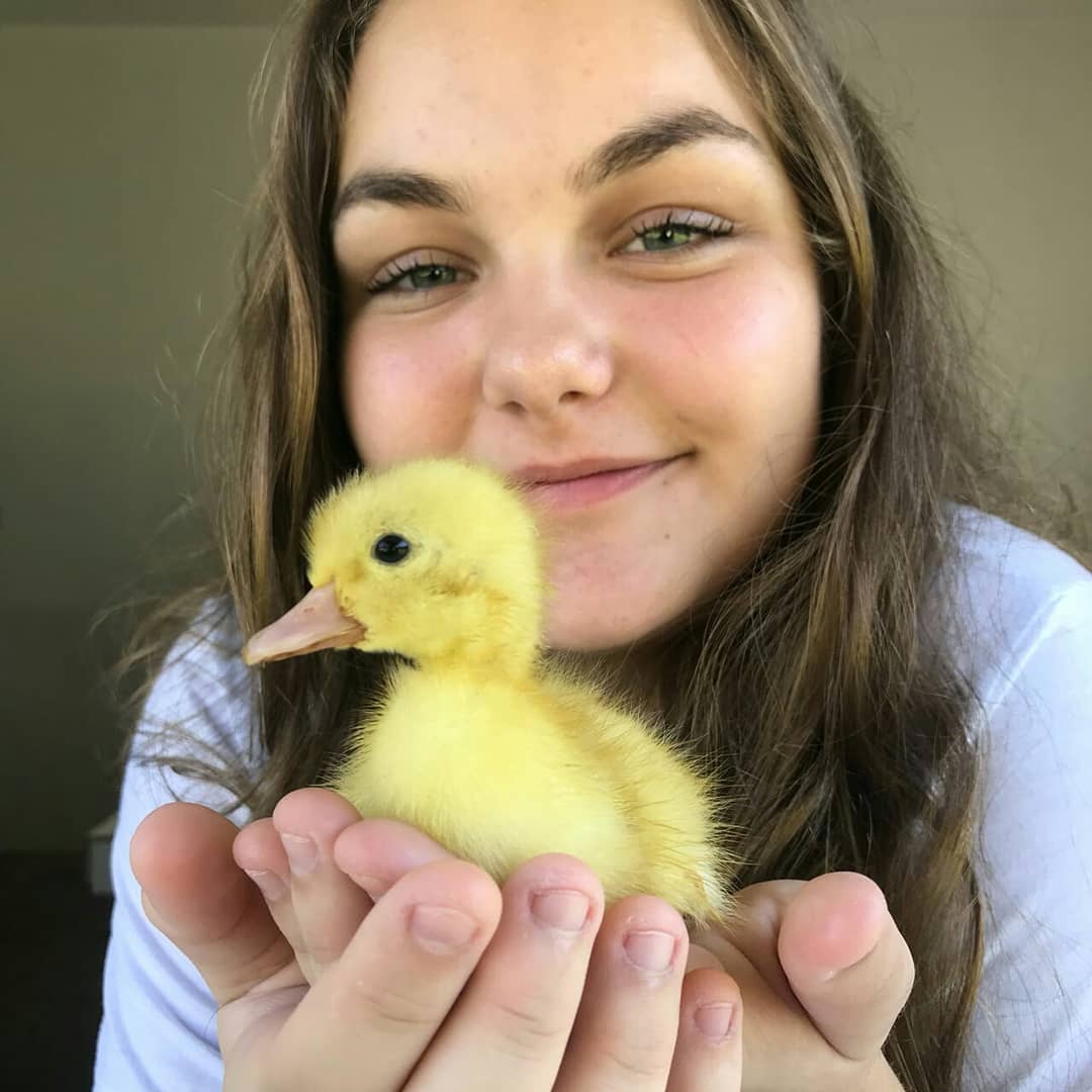 pa_bratti's tweet photo. 1- eu e minha bíblia #timejesus
2- só eu mesmo
3- eu e um marrequinho, simplesmente pq amo meus animaizinhos #vemvet2020 https://t.co/4NIxFjAW1N