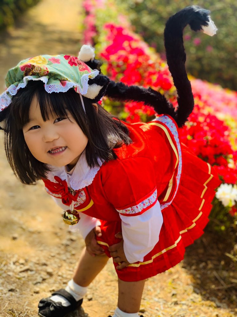 八雲橙(3歳)のベストショット #東方project #コスプレ
