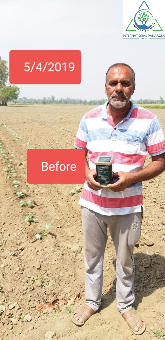 IPLBiologicals's tweet image. #Excellent #results of our newly launched #product #Premium #VAMHD in #cucurbits #crop.
#Happyfarmer #Organicfarming #Vegetables #healthyfood @IPLBiologicals