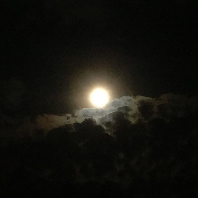 realrivernixie's tweet photo. Let’s take a moment together with the moon.
#belongtoriver #howlwithme #fullpinkmoon #sproutinggrassmoon https://t.co/hgf6JmluxH https://t.co/MMhOyqXpHr