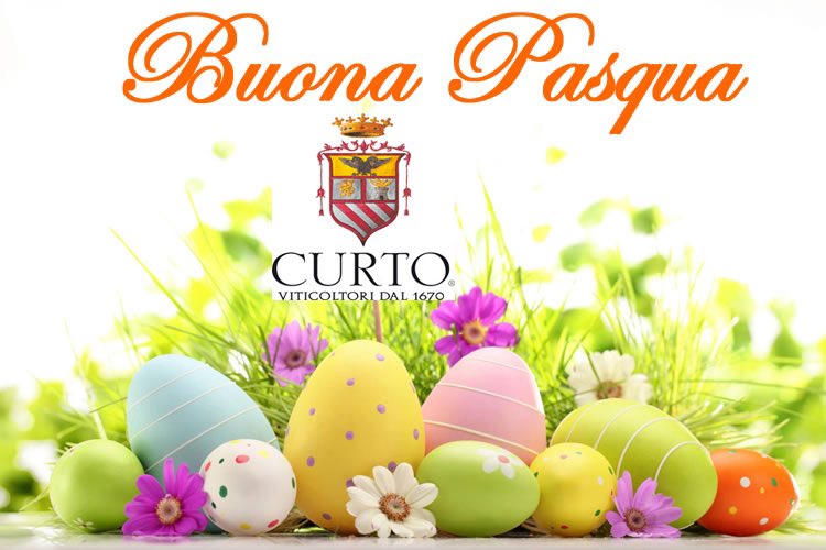 Francesca Curto (@curtofrancesca) on Twitter photo 