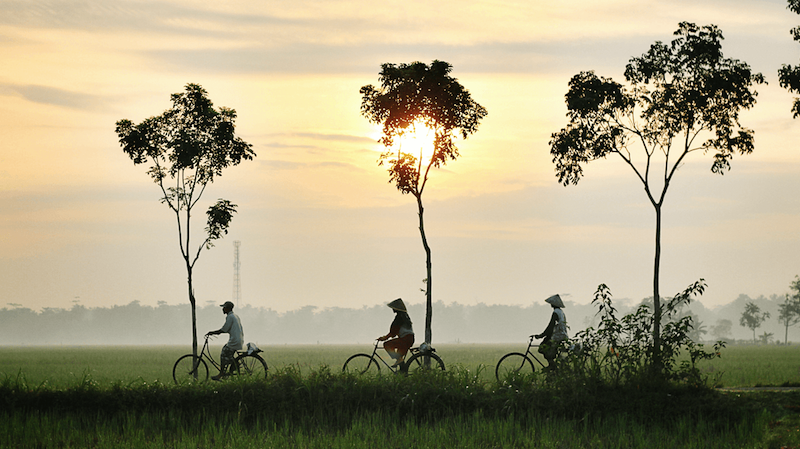 VickiLouise86's tweet photo. Get away from the hustle and bustle of #Vietnam in the quiet city of Hoi An https://t.co/7dhUTqZhH4 #travel #ttot @Lovingblogs #TBIN #AustTravBlog https://t.co/b8TUUnnKU3