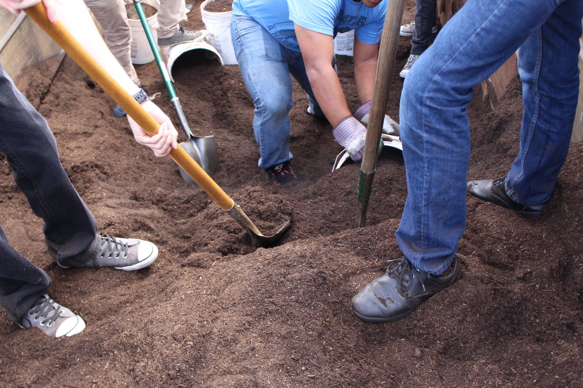 BaldwinParkCA_'s tweet photo. Join us for the @BaldwinParkCA_ Spring Fest-Egg Hunt &amp; Arbor Day this Sat 4/20/19 from 8am-1pm as we bring together for the first time two of spring's favorite events for a day of fun at Morgan Park. #bunnybrunch #artwinners #environmentalfair #freemulch #egghunt #treededication https://t.co/f10zR2p6N0