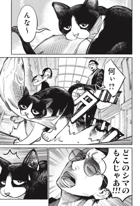 くらげバンチにて"極主夫道"28話が更新されました^ ^お魚くわえた野良猫みたいな話です！是非ご覧ください〜
→ 