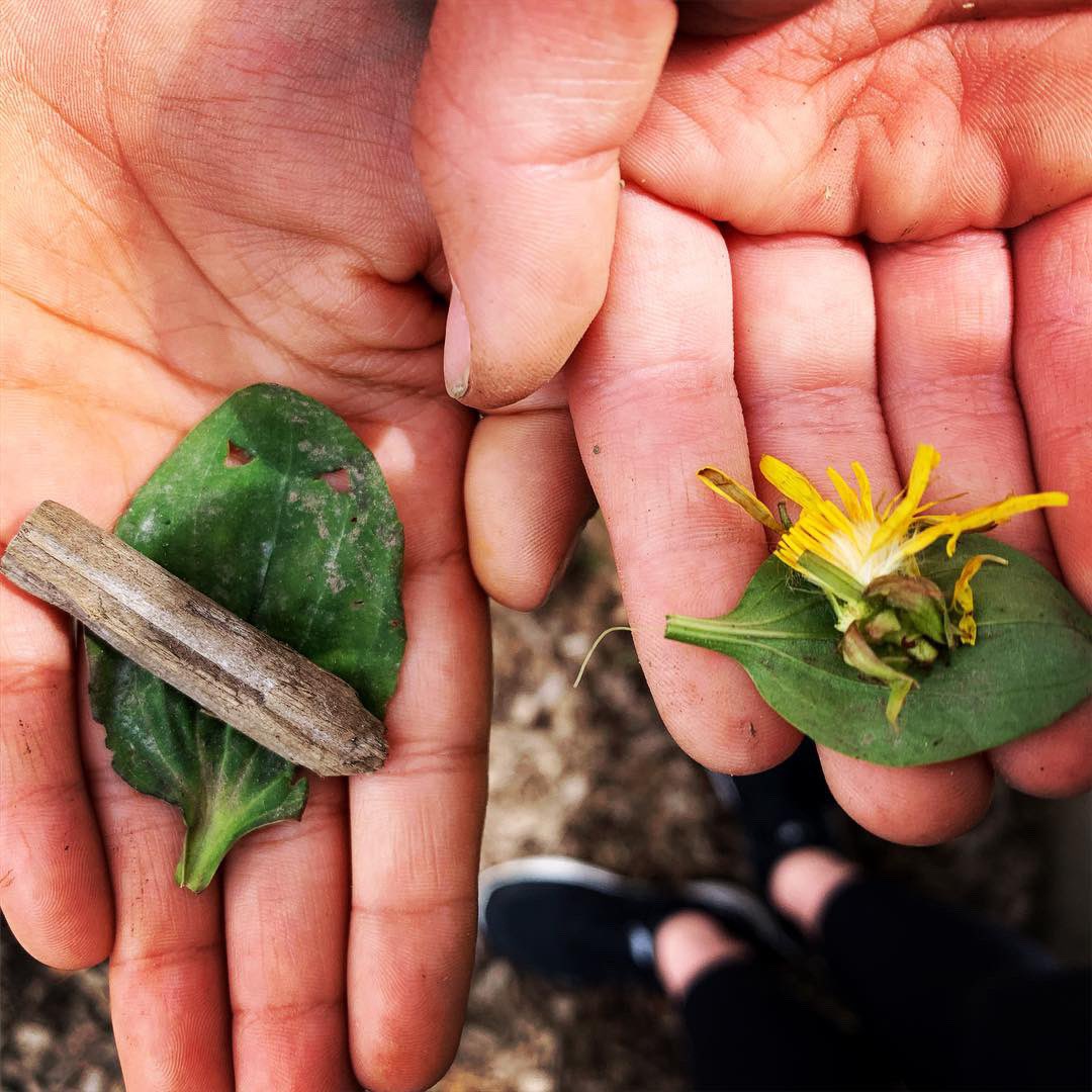 mmefaubert's tweet photo. My Earth-conscious Grade 1s have a goal of using less paper in our classroom, so we made art with nature instead - Nature Easter Eggs inspired by earlyyearsoutdoor on Instagram. @bridgebulldogs #sd38learn https://t.co/I7PysWyzka