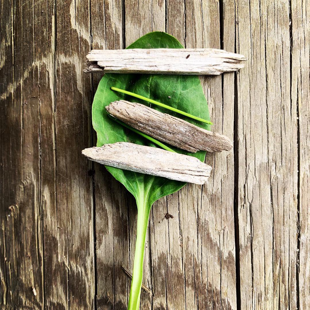 mmefaubert's tweet photo. My Earth-conscious Grade 1s have a goal of using less paper in our classroom, so we made art with nature instead - Nature Easter Eggs inspired by earlyyearsoutdoor on Instagram. @bridgebulldogs #sd38learn https://t.co/I7PysWyzka