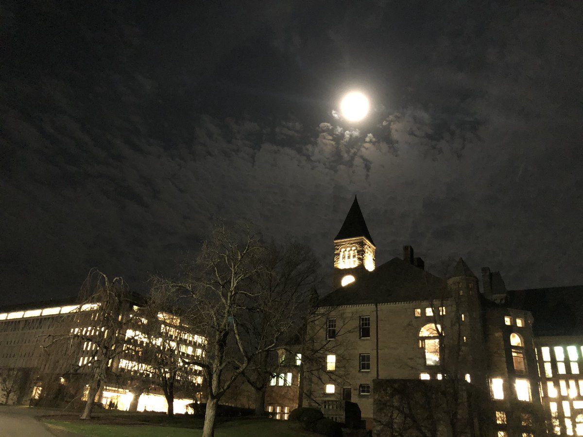 andrea_poag's tweet photo. It’s crazy how busy yet quiet it is on campus close to midnight. Sometimes it’s the best time to get caught up after a long week of pre-enrollment advising & Cornell Days. #LiveClose #NeedToCatchUp #AlmostFriday https://t.co/ll493XuJa8