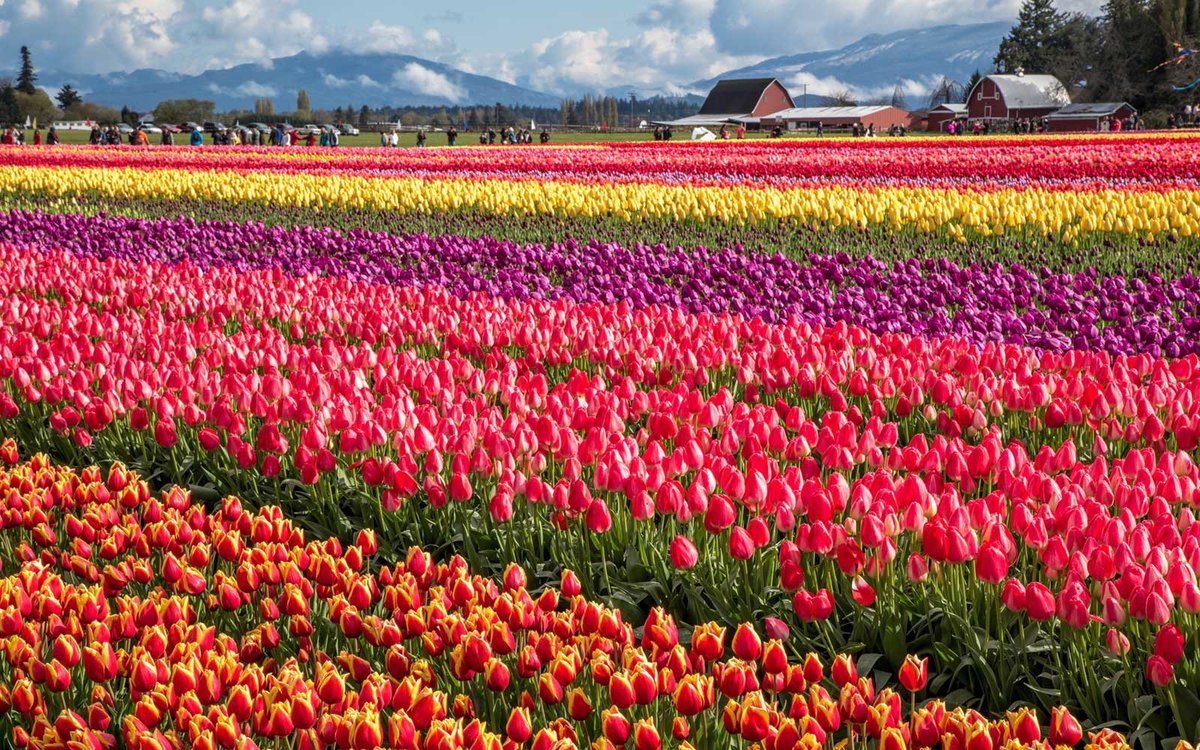 MaybeTayler's tweet photo. Hi if someone took me here my heart would explode :,,( https://t.co/XLK2tsbSeJ