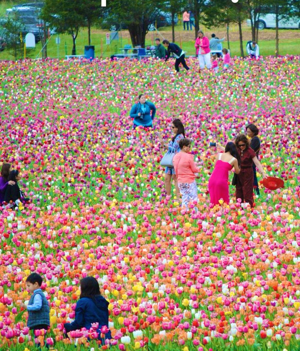 MaybeTayler's tweet photo. Hi if someone took me here my heart would explode :,,( https://t.co/XLK2tsbSeJ
