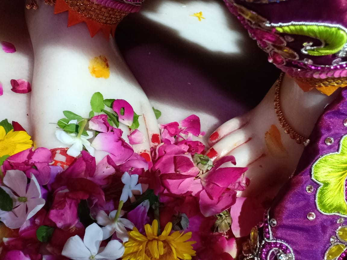 19/04/2019
    पूर्णिमा के पावन पर्व पर ठा. श्री प्रियाकान्त जू भगवान के आज के दर्शन प्रियाकान्त जू मंदिर वृन्दावन 
। राधे राधे बोलना पड़ेगा।।