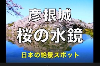 jukenbbs's tweet photo. 💗桜の水鏡（逆さ桜）動画💗
https://t.co/L7wl7h667c

桜がお城の池へ反射する動画を撮影しました。
勉強の合間の気分転換にどうぞ🥰 https://t.co/0pppTJX9Hg