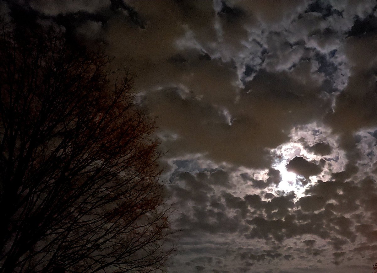 TreesDee's tweet photo. Beautiful moon and clouds tonight #deestrees #branchographer #branchologist #trees #branches #nature #naturelovers #majestic #skyporn #clouds #night #nighttime #moon https://t.co/uAqCc5TMJW