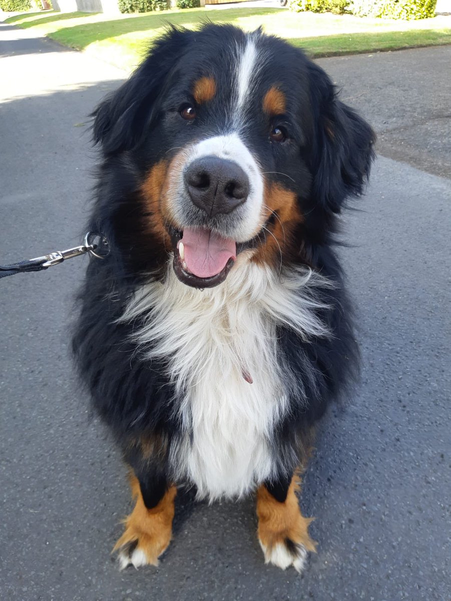 anne boyd tweet media