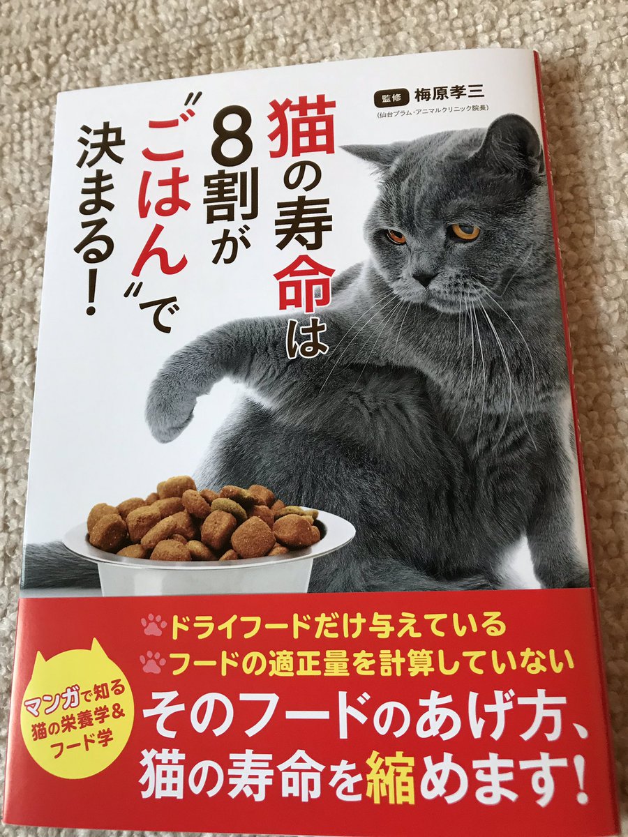 猫の寿命は8割がごはんで決まる 猫の寿命は8割がごはんで決まる