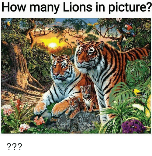 theinquilabin's tweet photo. #ContestAlert: Answer the question and stand a chance to win some exciting goodies!
.
.
Participate here: https://t.co/ZGPvJOr3nH
T&C Apply. Winners on FB Only
#InquilabContest #CommonSense #CheckYourIQ
@IndiaContestOff @indiacontests4u @indiacontest @Contestz_India https://t.co/Pdb3QwPZ9j