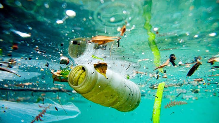 La humanidad es un asco y nunca me cansaré de decirlos ¿no creen que es momento de cambiar? Salvemos nuestro planeta, salvemos las especies, salvemos nuestra especie

 #WeLoveTheEarth