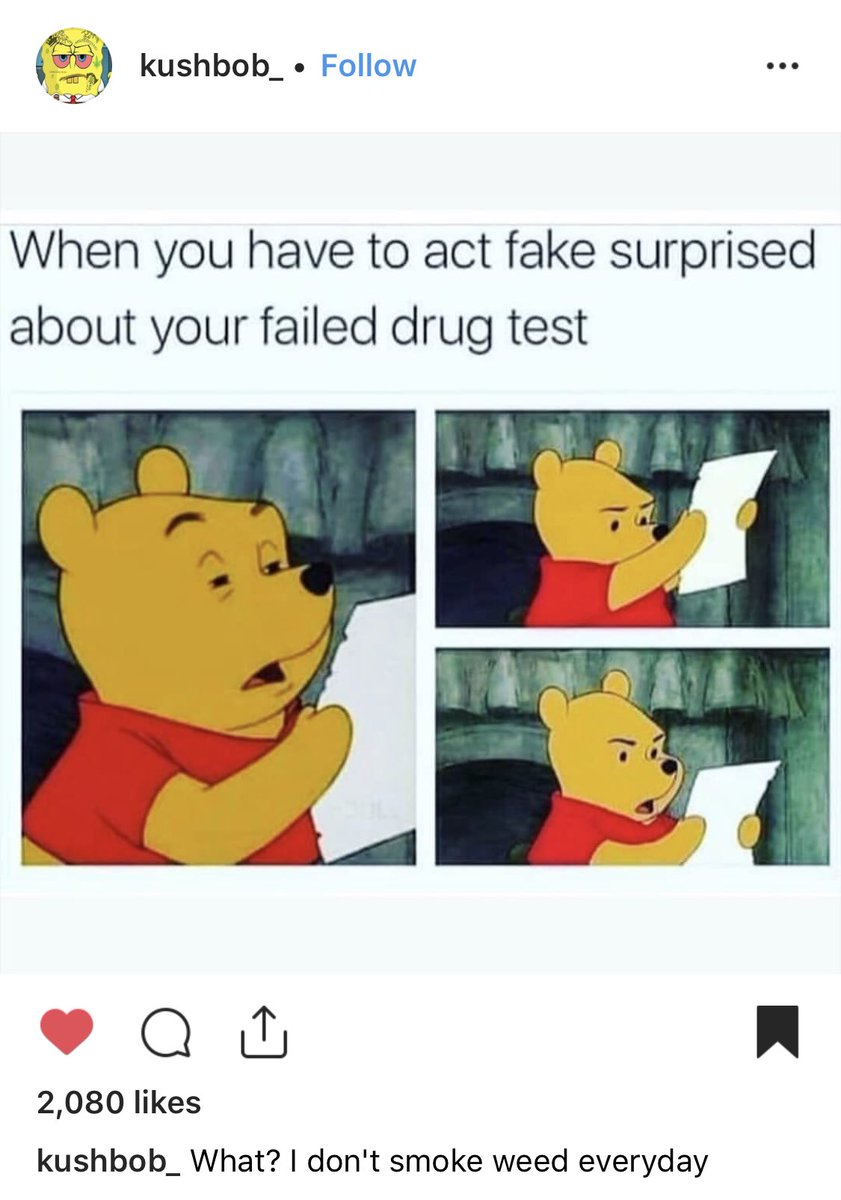 PRCarlington's tweet photo. There is some great content out here! π #CannabisCommunity #funny #CannabisCulture #prcFam https://t.co/tIWO3ec0uH