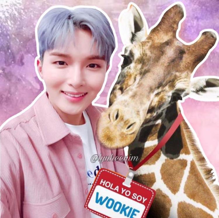 HaremDeDongHae's tweet photo. Hay que hacer desmadre, de qué sirve que se llame Wookie si Ryeowook no se ha enterado.     Suban esta imagen en TODAS SUS REDES SOCIALES CON LA DESCRIPCIÓN SIGUIENTE:
Officially Ryeowook has a Giraffe that was named in his honor.
      En el siguiente tweet están los # https://t.co/SREuVL9pdy