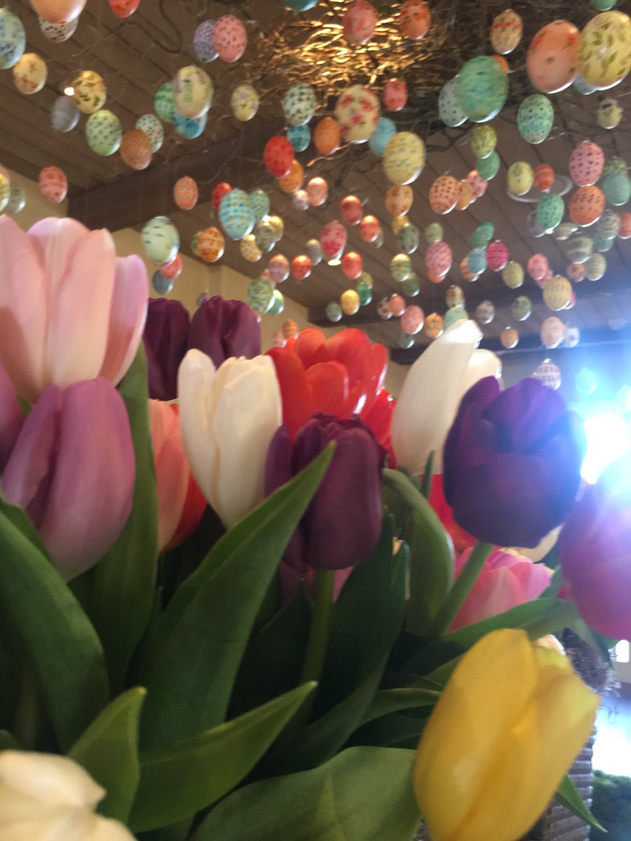 BuldanSeka's tweet photo. Happy spring to you all https://t.co/wTvb2zChlh