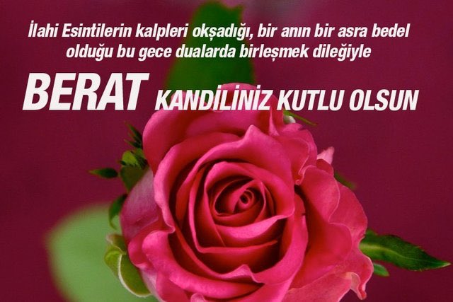 Fethikurt19's tweet photo. Allah’ın Selamı Rahmeti, Bereketi üzerimize olsun! Günümüz aydın Cumamız Mübarek Olsun! Hayırlı Kandiller 🤲🇹🇷😇😇🤲🇹🇷🇹🇷 https://t.co/vYln3Lk0TR