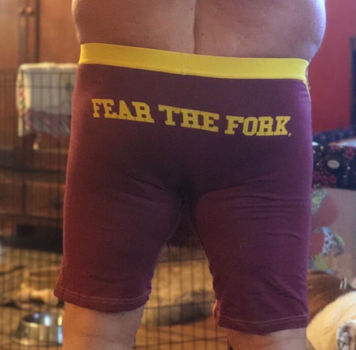 TracyJSmith13's tweet photo. When @rockinhoosier (aka Lil Sparky) supports your team, he REALLY supports your team! #ThingsYouCannotUnsee https://t.co/oOnQR3Y9rw