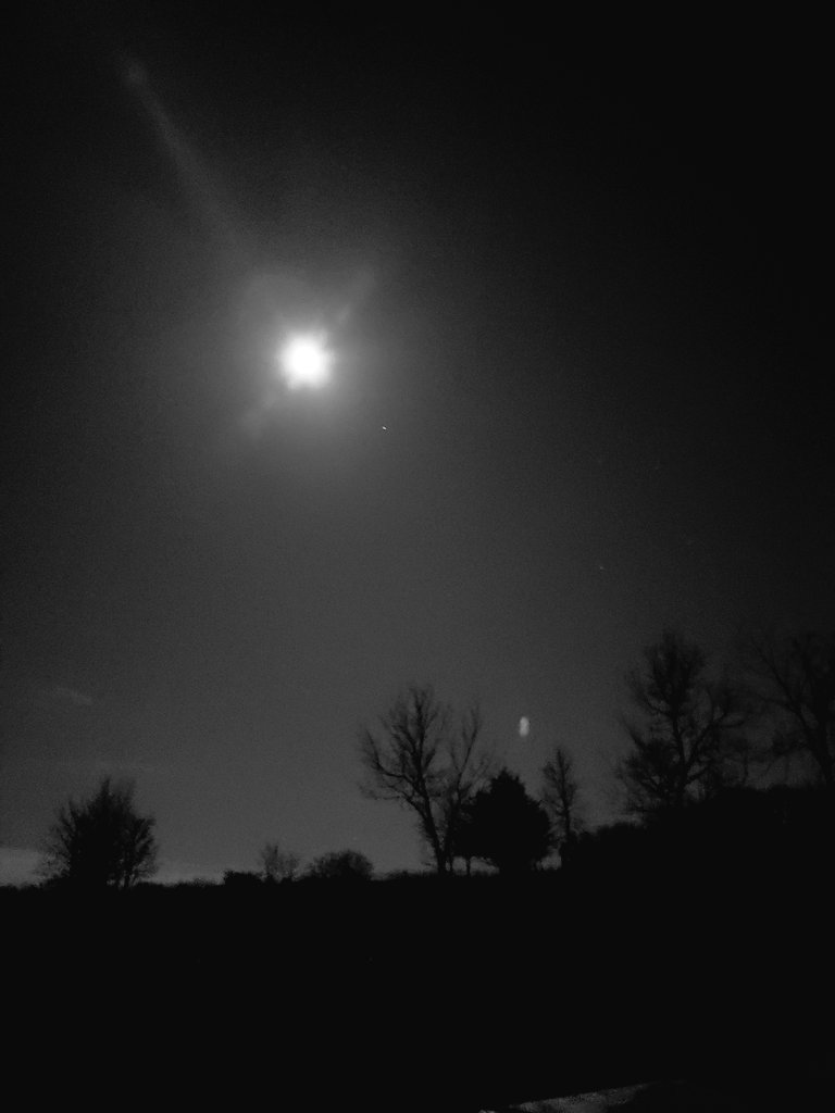 HKetzeback's tweet photo. absolutely~stunning #cowboy #GSD #mybestfriend #countrygirl #moonlightstroll #incredibleview #naturalelements https://t.co/gPMyyBruuP