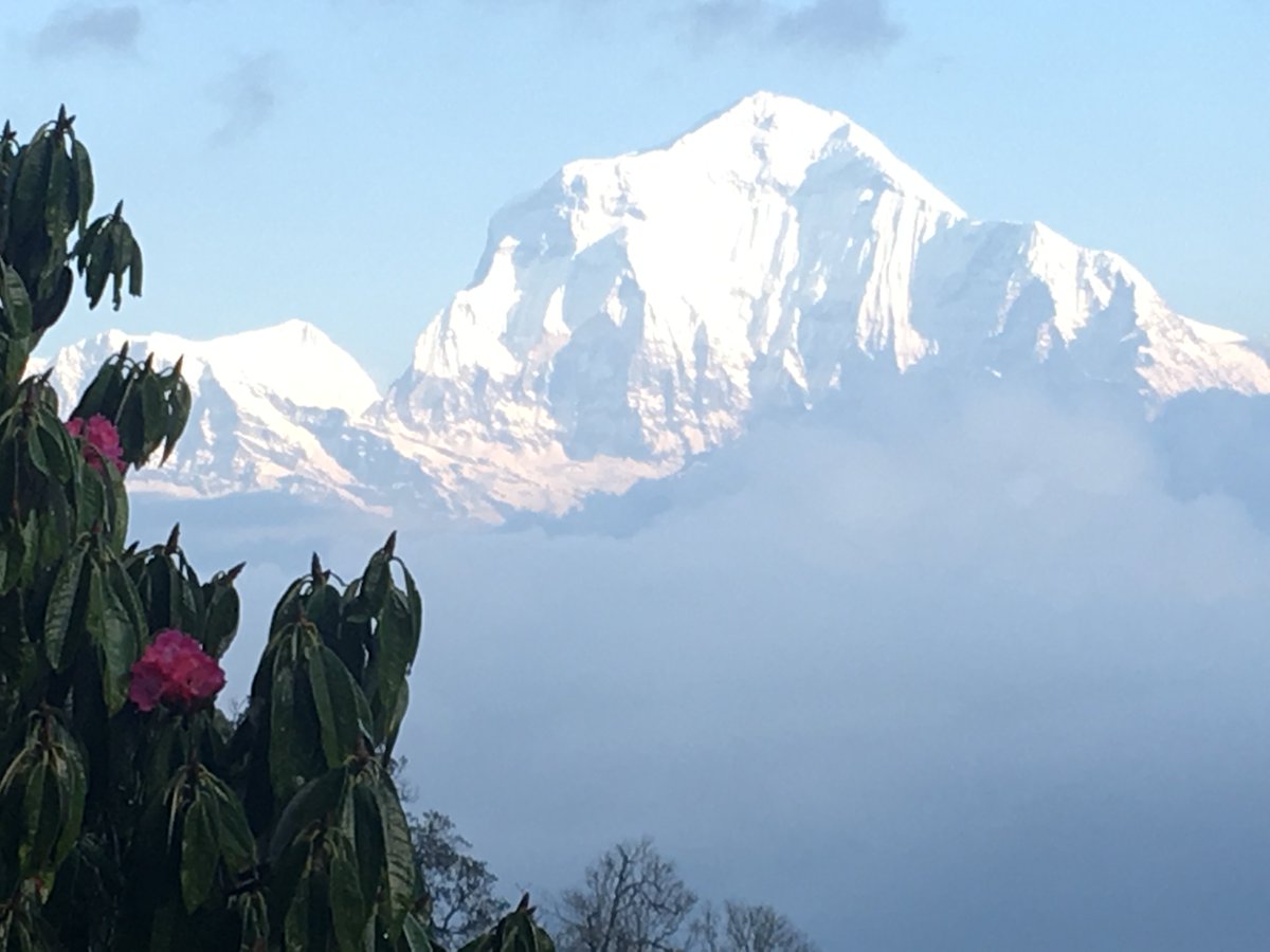 annabelscomms's tweet photo. Not a bad #photo of my wonderful #Himalayas trip, courtesy of an old #iPhone #nature https://t.co/OL5MGiDNre