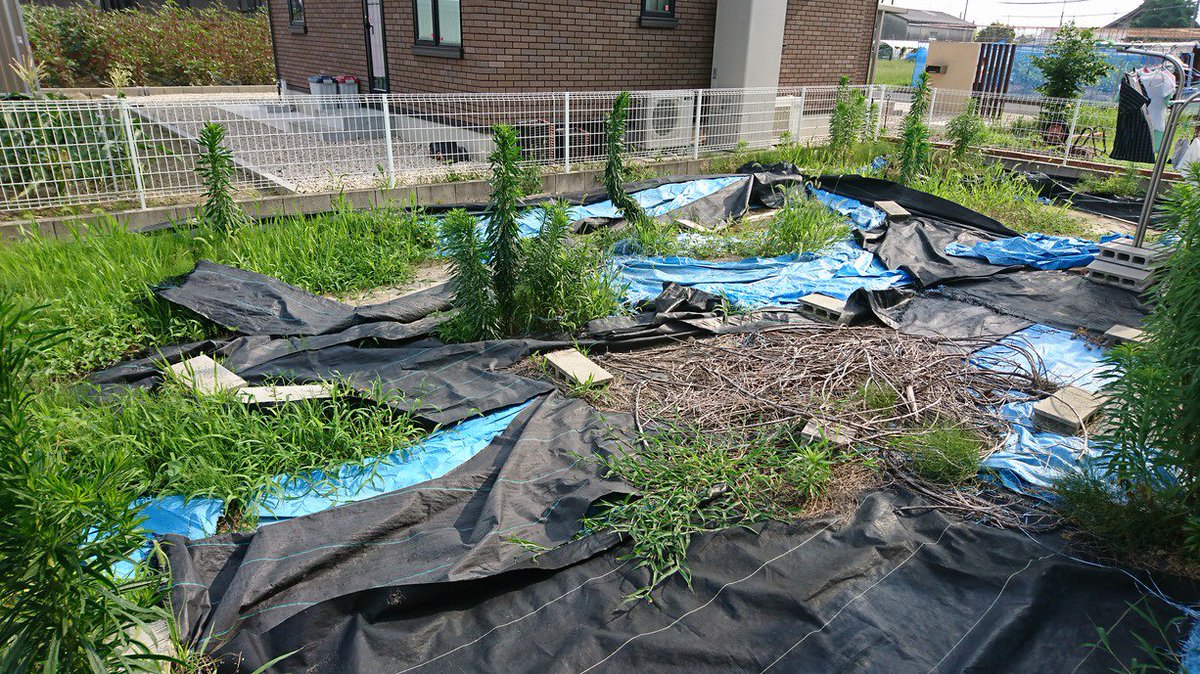 Oh 庭ya おにわや Twitter પર 一度防草対策したお庭だけど 雑草が伸びてしまい手に負えなくなってしまった 折角なら芝を敷いた オシャレなお庭にしたい とのご依頼でした ご家族皆さんが オシャレ と大変喜んでくださいました 植木屋 雑草対策